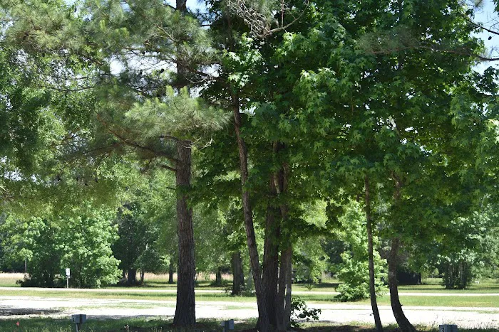 Peaceful Pines RV Park Picture 5