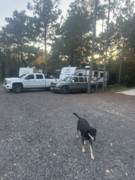 Blackberry Hill RV Park Picture 4