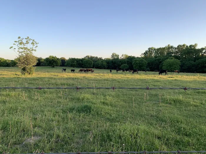 Caney Creek Station LLC Picture 6