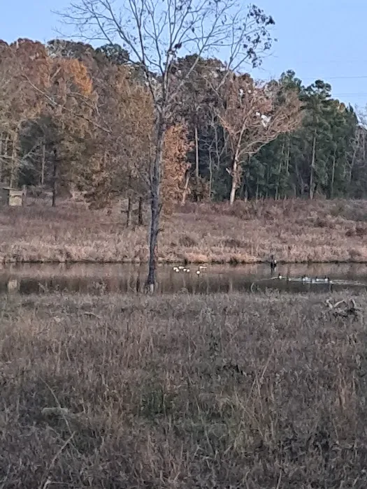 Weems Hill RV Park Picture 3