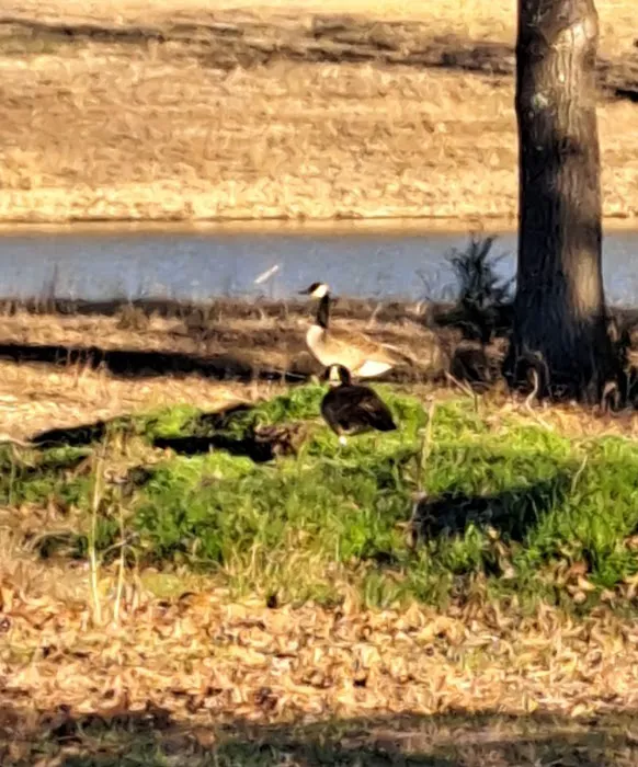 Weems Hill RV Park Picture 10