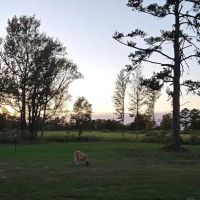 Dodson Farm RV Park ico