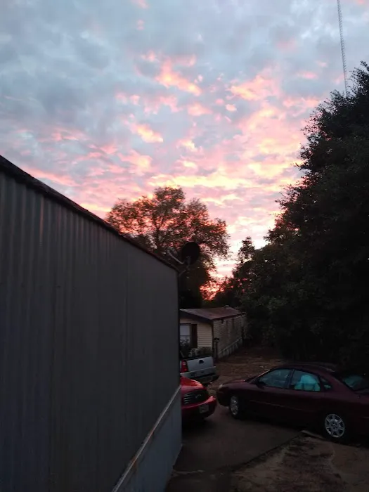 Regency Mobile Home & RV Park Picture 8