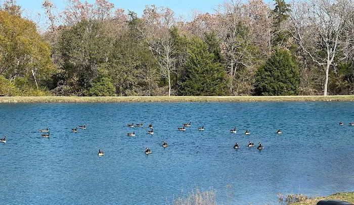 Texan RV Park Picture 1