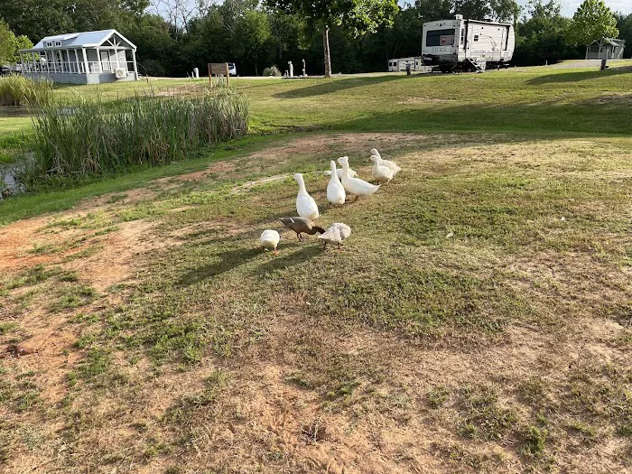 Texan RV Park Picture 9