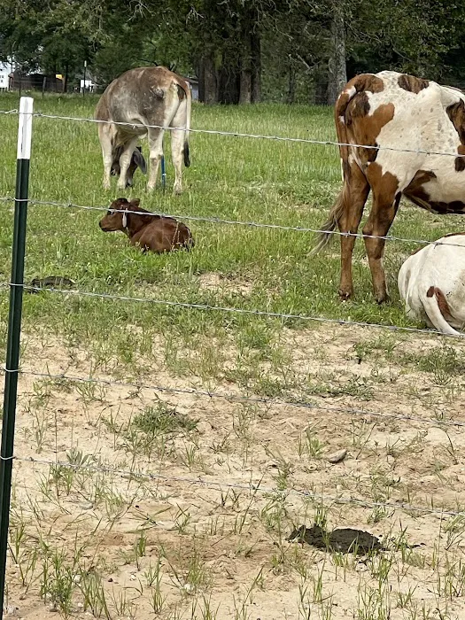 Cristville RV Ranch Picture 2