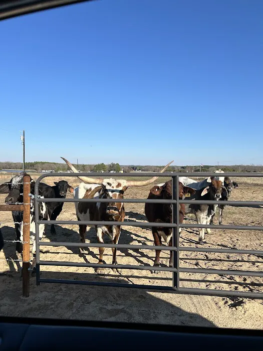 Cristville RV Ranch Picture 4