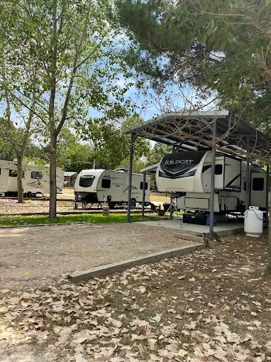 Big Cypress RV Park Picture 5