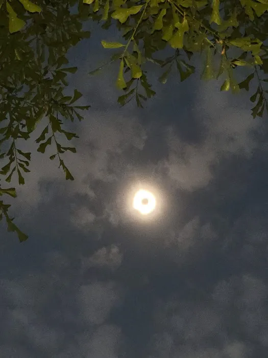 Ramblin Fever RV Park Picture 4