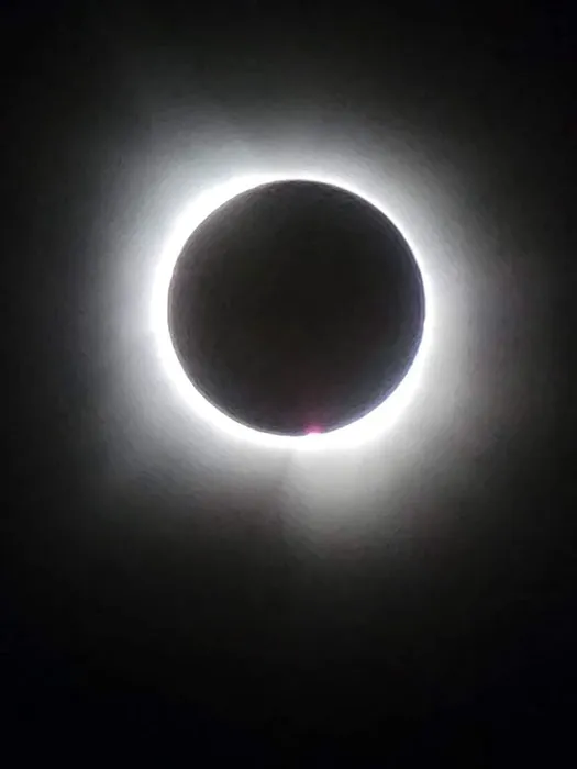 Ramblin Fever RV Park Picture 5