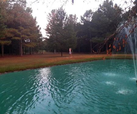 Lovin' Life RV Park and Country Store