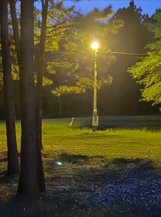 Lovin' Life RV Park and Country Store Picture 9