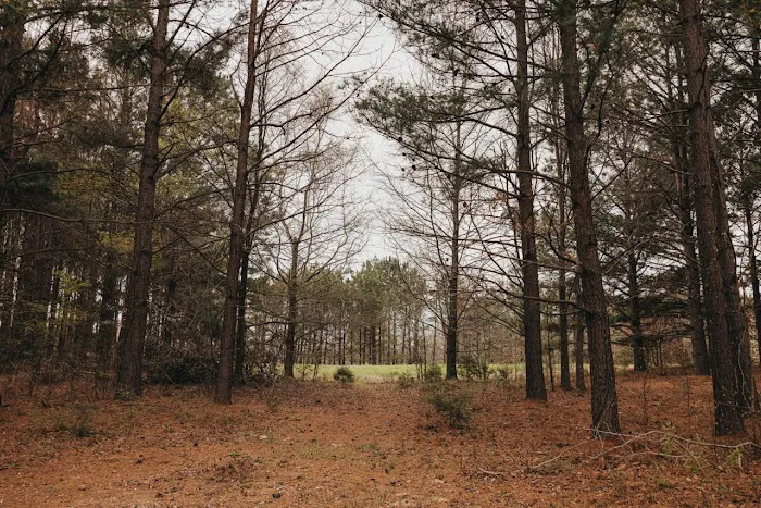 G & K RV Park Picture 5