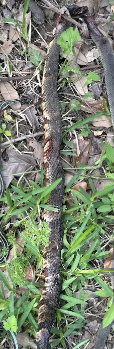 Pankey Road Mobile Home Park Picture 1