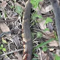 Pankey Road Mobile Home Park ico