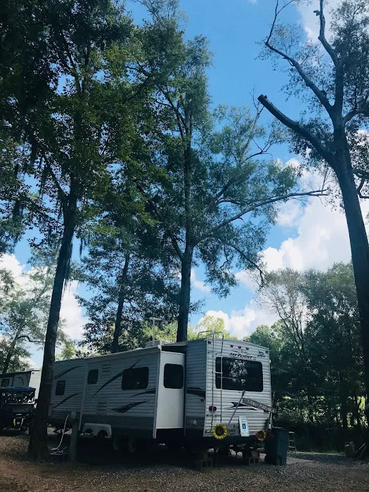 Joey's Moon Lake Marina Picture 3