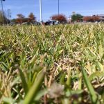 Happy Acres Mobile Home Park