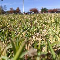 Happy Acres Mobile Home Park ico