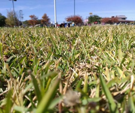 Happy Acres Mobile Home Park