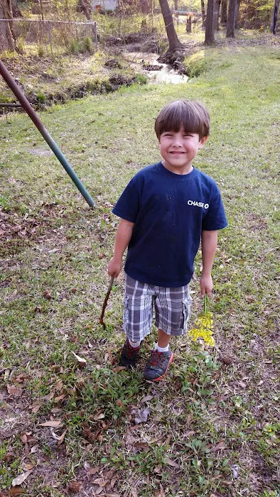 Green Pasture Mobile Home Park Picture 1