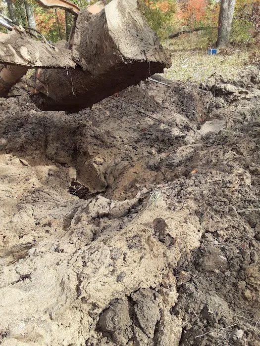 Oak Alley Mobile Home Park Picture 5