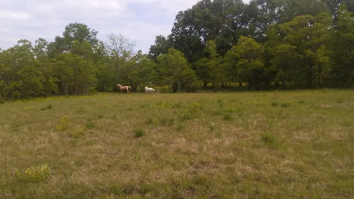 Oak Alley Mobile Home Park Picture 4