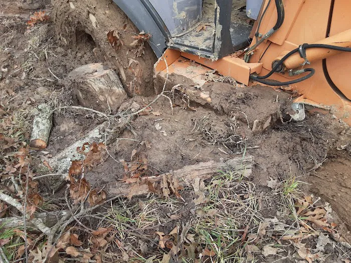 Oak Alley Mobile Home Park Picture 3