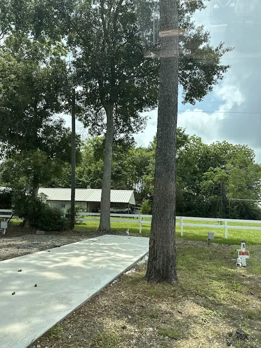 Winnie rv park Picture 2
