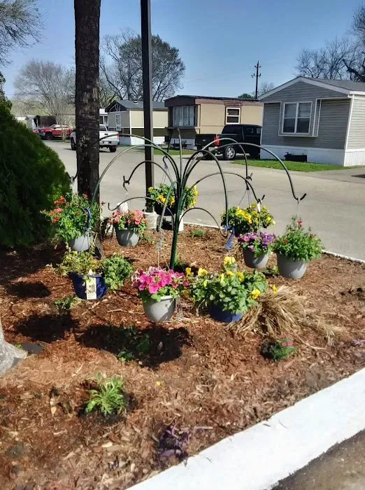 Bramor Place Mobile Home Park Picture 5