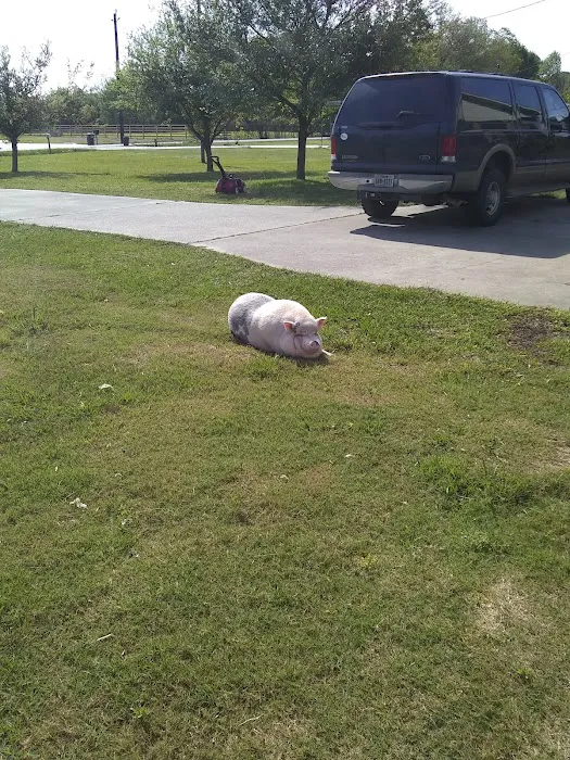Casa RV Park Picture 3