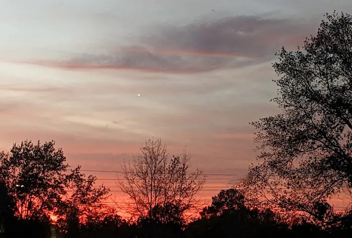 East Martin RV Park Picture 9