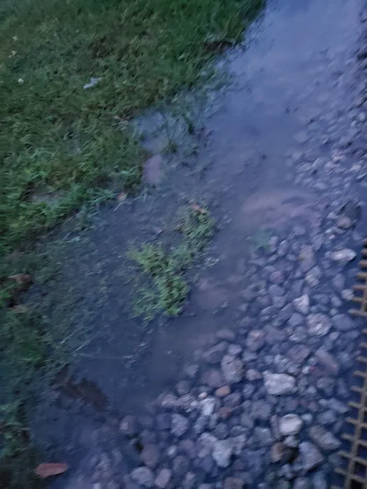 Porter RV Park Picture 9