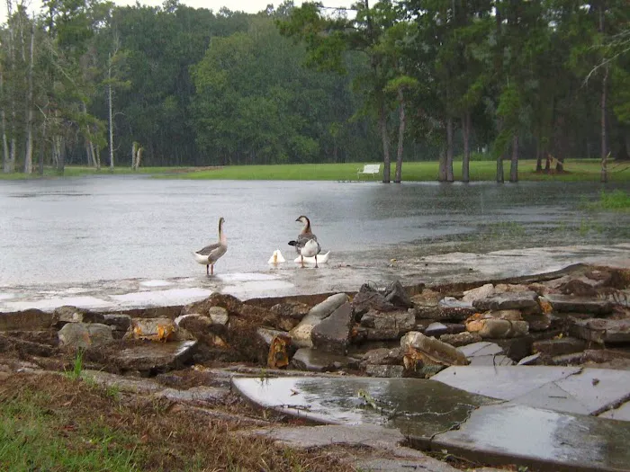 Omega Farms RV Park Picture 3