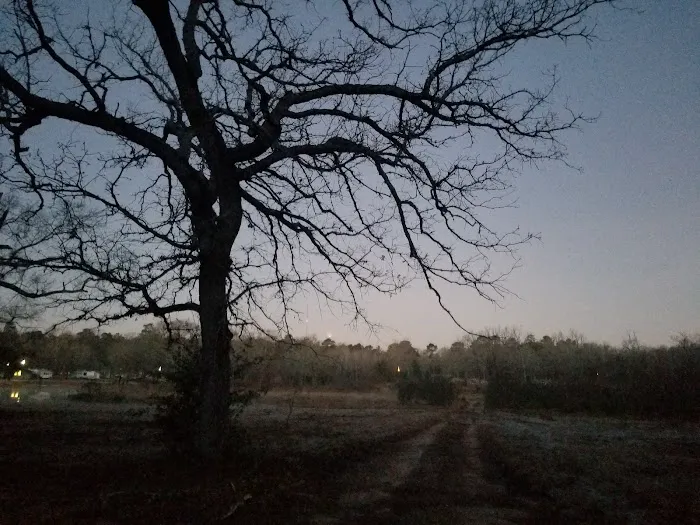 Omega Farms RV Park Picture 9
