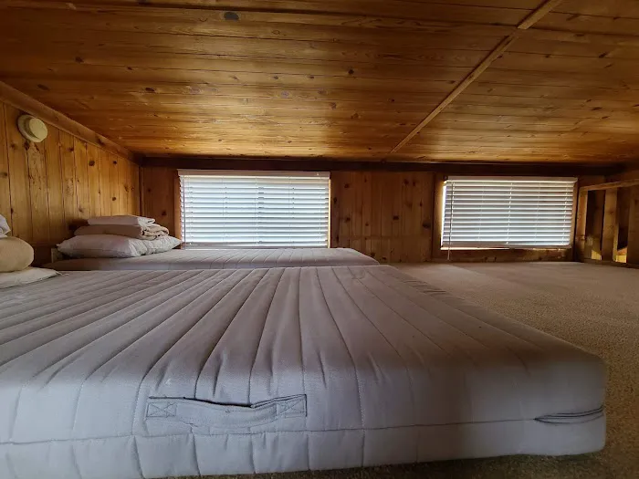 Lake Conroe RV & Camping Resort Picture 3