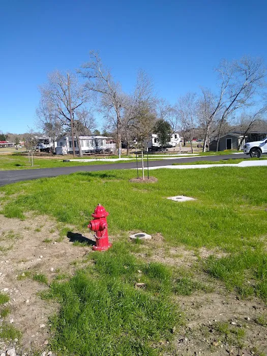 Lake Conroe RV & Camping Resort Picture 10