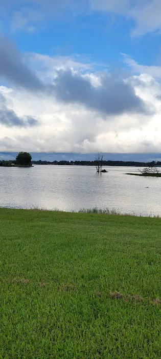 Lake Conroe RV & Camping Resort Picture 4