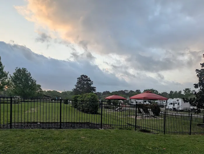 Lake Conroe RV & Camping Resort Picture 5