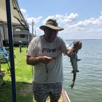 Willis RV Park On Lake Conroe ico