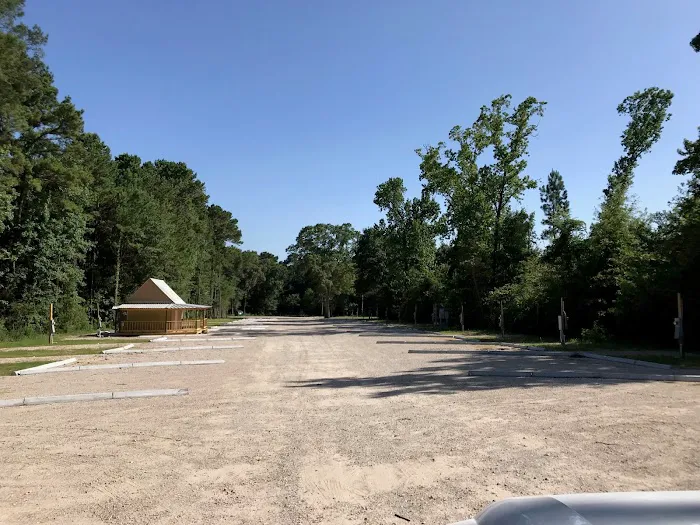 The Pines on Lake Conroe RV Park Picture 5