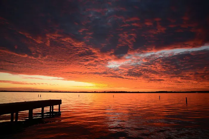 The Pines on Lake Conroe RV Park Picture 4