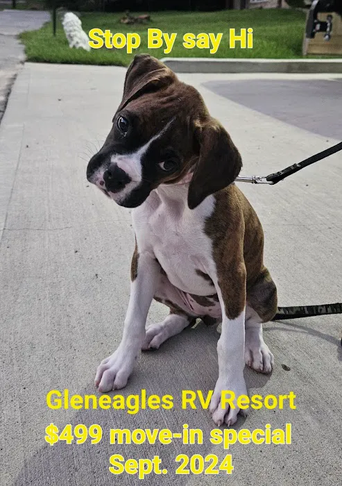 Gleneagles RV Resort Picture 6