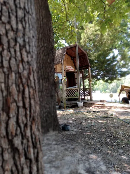 Willow Branch RV Park Picture 1