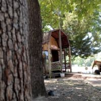 Willow Branch RV Park ico