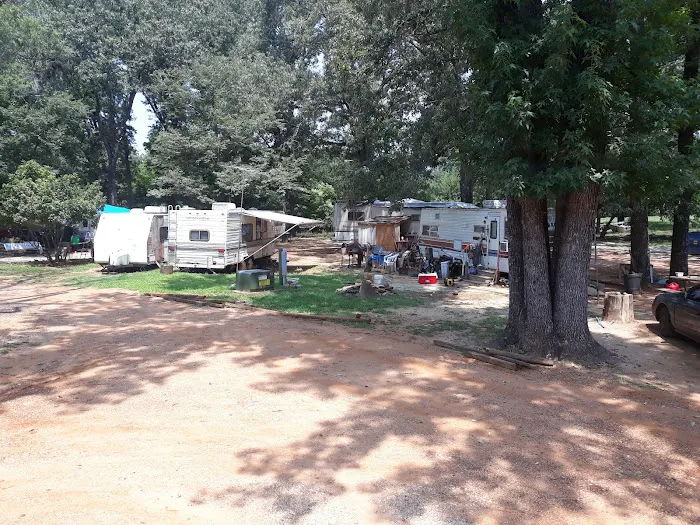 Willow Branch RV Park Picture 3