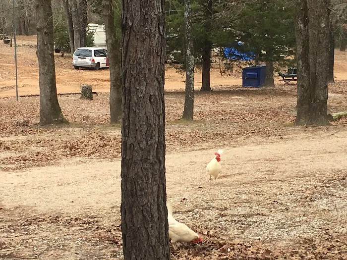 Willow Branch RV Park Picture 10