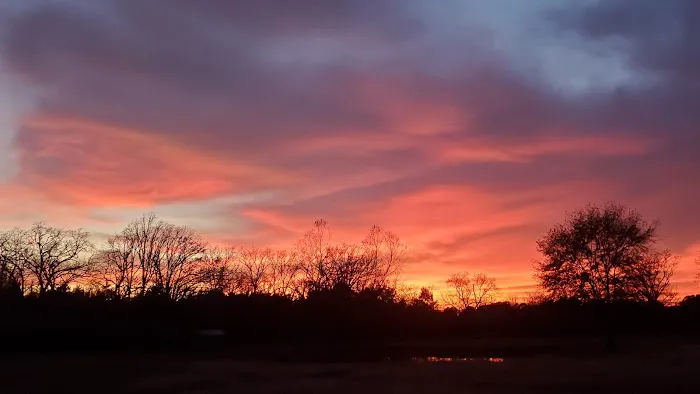 Roadrunner Acres RV Ranch Picture 5