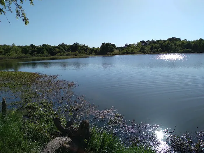 Chaney Point RV Park Picture 2