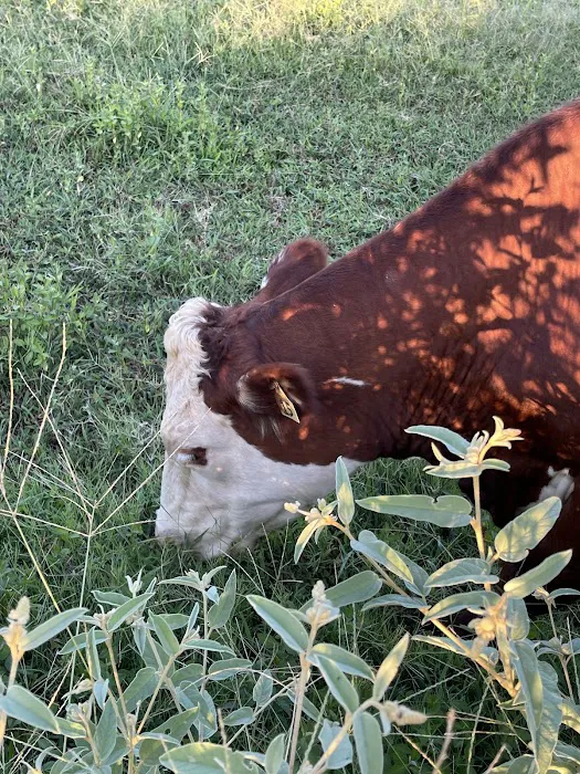 Endurance RV Resort Picture 7