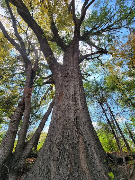 Peace N Quiet RV Picture 7